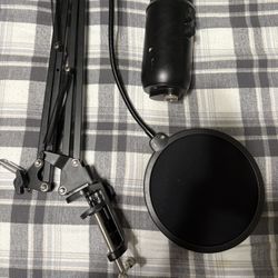 Mic Setup