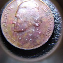 Five Cent 1965.rare