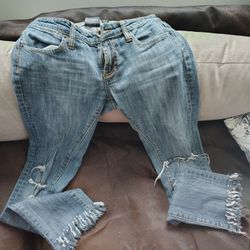 Ed Hardy Women's Denim Jeans With Fringe On Ends Of Legs. Dragons On Back Pockets. Size 29