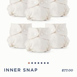 Esembly Cloth Diaper Inners