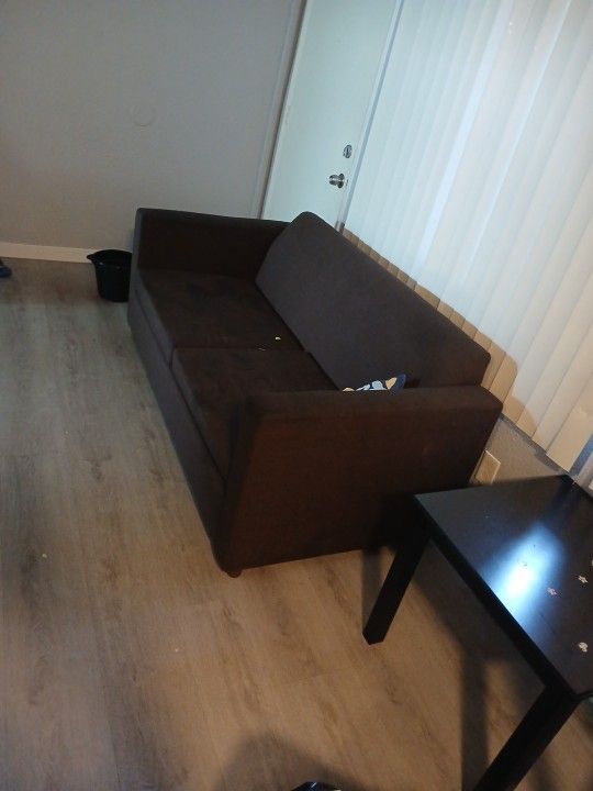 Free Must Go One Year Old 