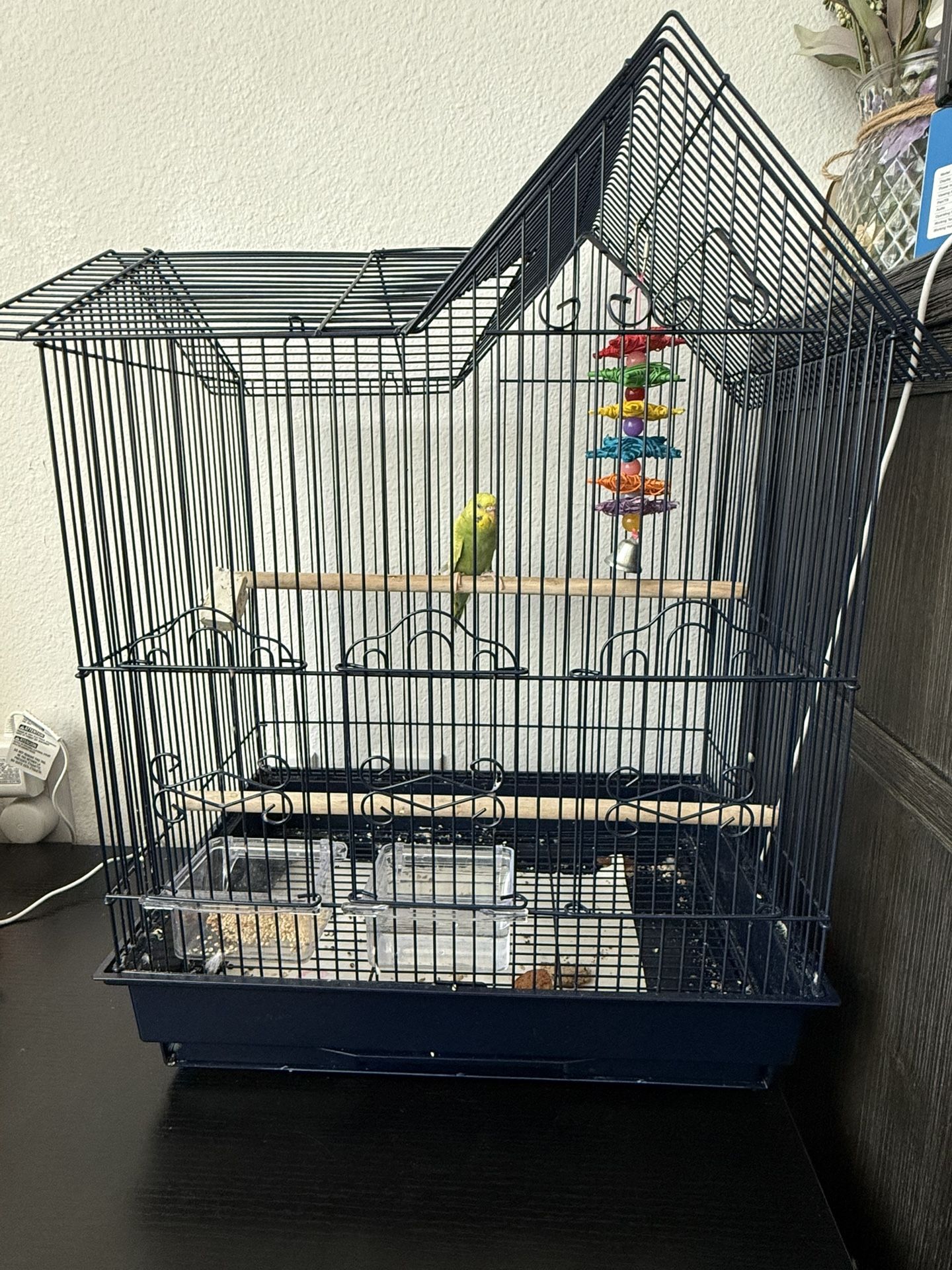 Bird Cage