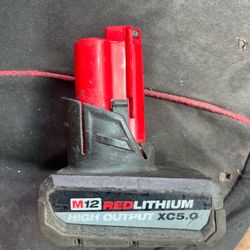 Milwaukee m12 5.0 battery