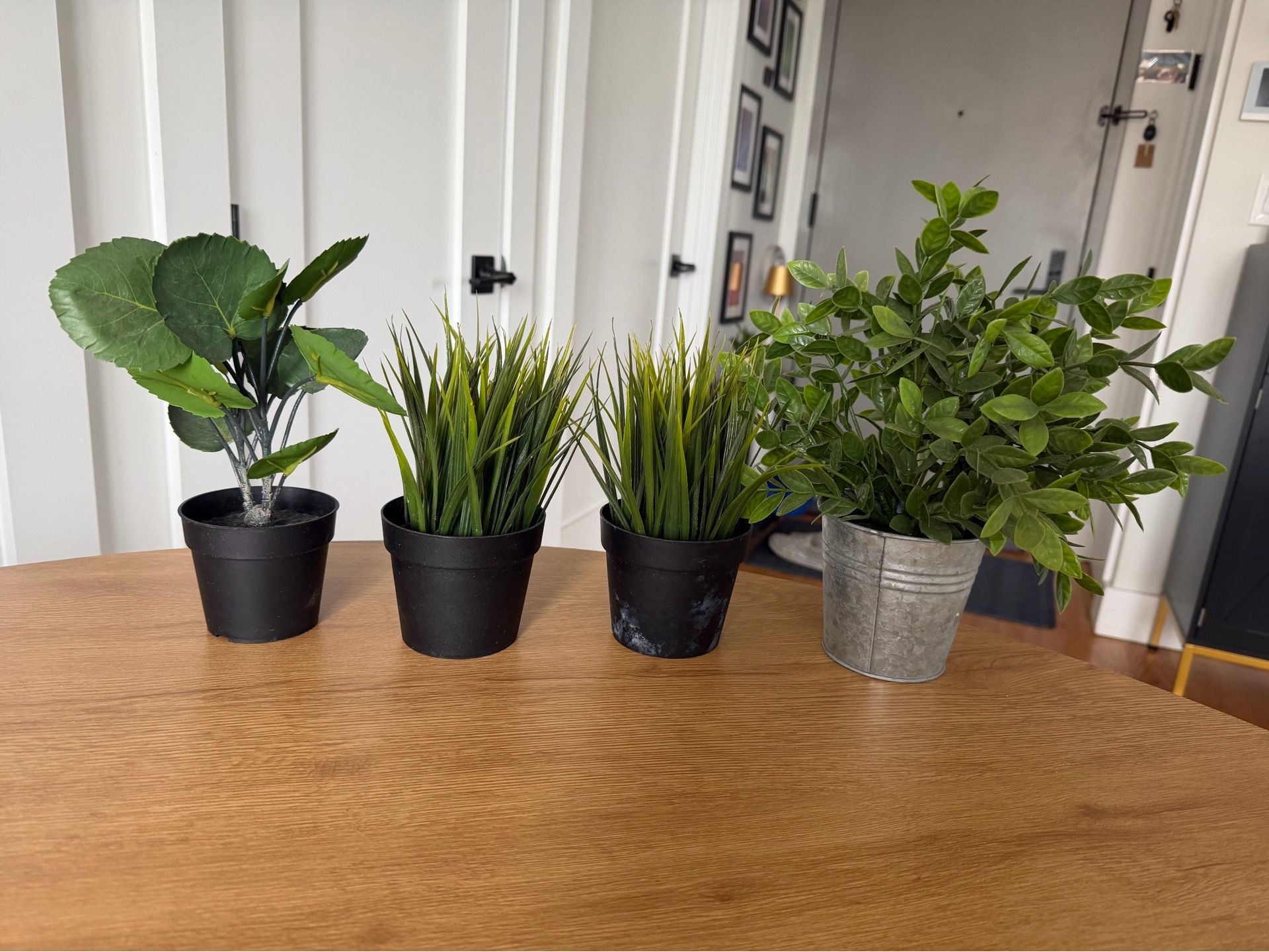 Fake plants
