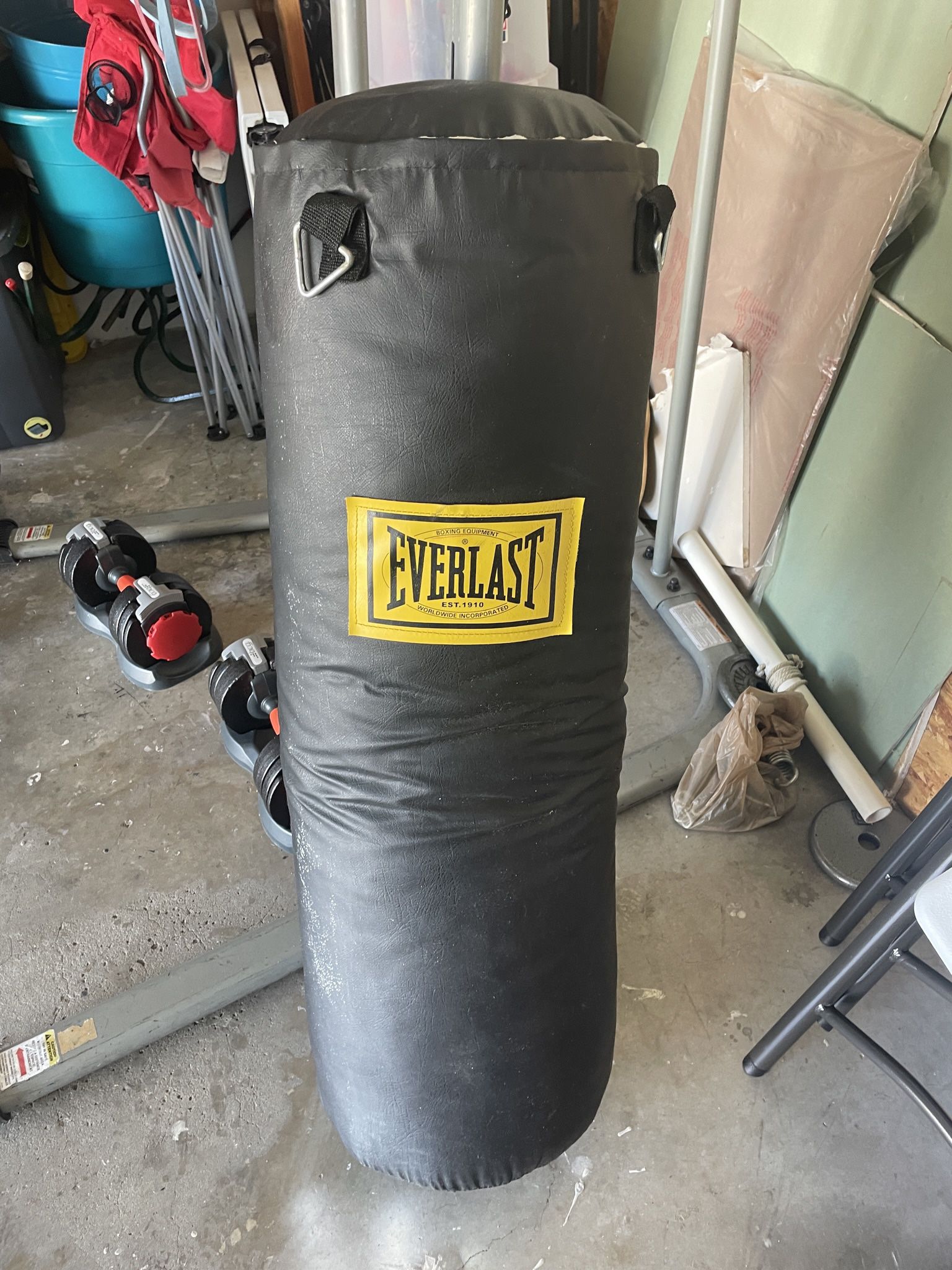 Everlast 50lb Punching Bag