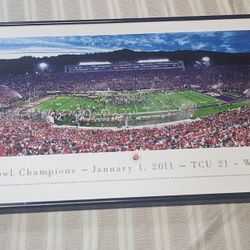 TCU vs Wisconsin Rose Bowl Panorama Frame 