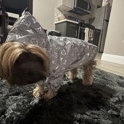 3M REFLECTIVE Designer Dog Jackets! 