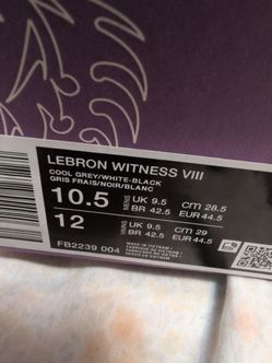 Lebron witness 8