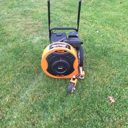 Walk behind Leaf Blower