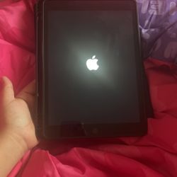 Apple .2 inch iPad Wi Fi GB   Space Gray 9th