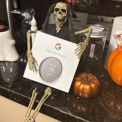 Google Nest Thermostat (New)