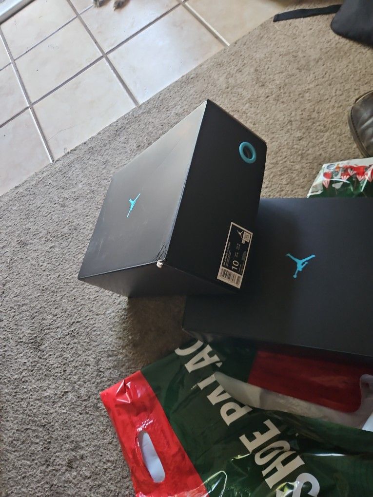 Jordan 11 Gamma $350