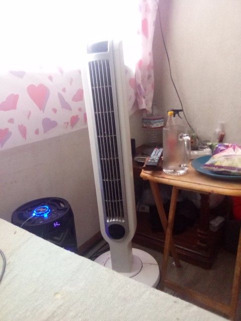 Cooling Fan