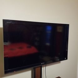 Sony 46in Flat Screen TV