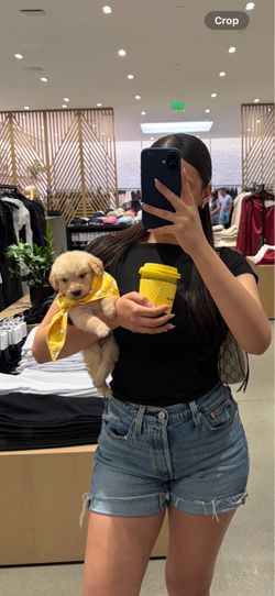 Levi Jorts