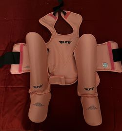 Tae Kwon Do (Karate) brace and shin Guards