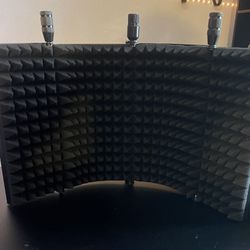 Microphone Filter