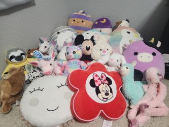 Stuffed Animals/Pillows