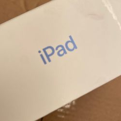 Ipad A16 11 Inch