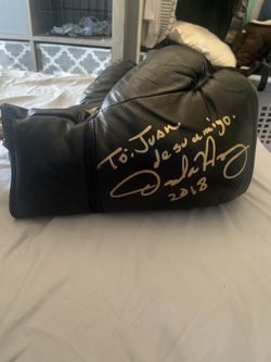 Oscar de la Hoya signed boxing gloves