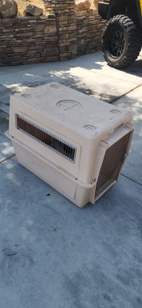 Dog Kennel