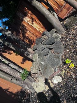 Free large lava rocks