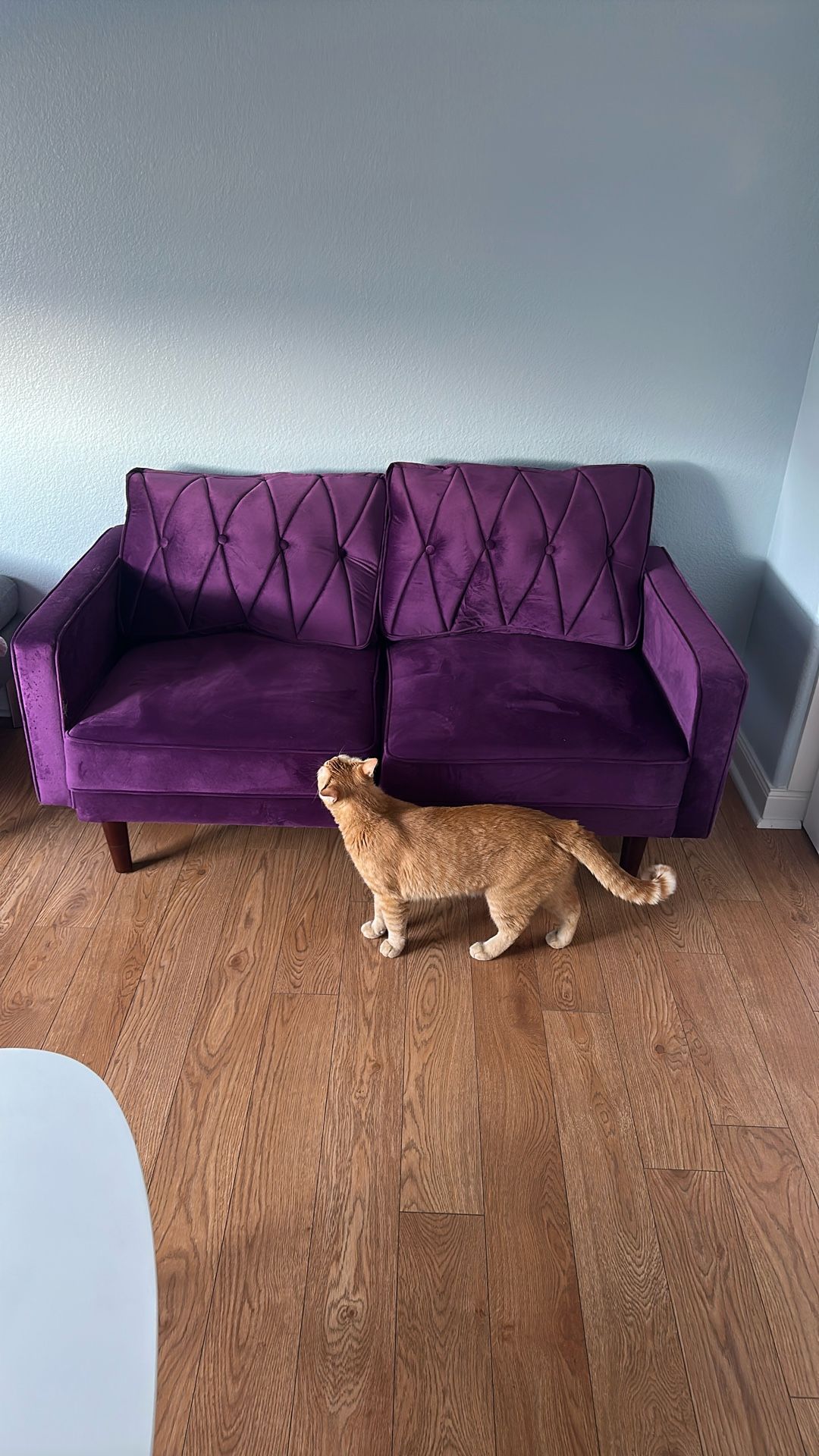 Purple Couch