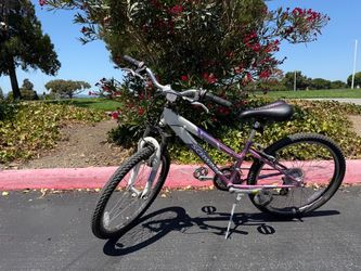 Schwinn Ranger 2.4 FS Bike with Machined Alloy Rims