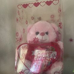 Mother’s Day Teddy Bear Pink With Heart And Box NEW