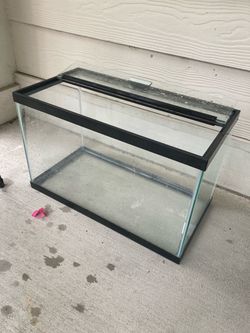 Fish Tank/Terrarium