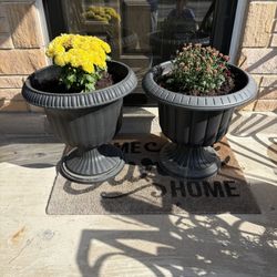 2 Plastic Urn Planters
