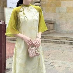 Ao Dai Vietnamese Dress 