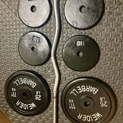 Standard Curl Bar with Weight Plates: 25s, 10s, 7.5s and 5 pounders. Brute Weigh: 109#