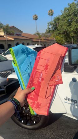 NEW Trader Joe’s insulated mini Bag