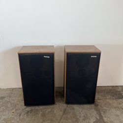 Wood Speakers 