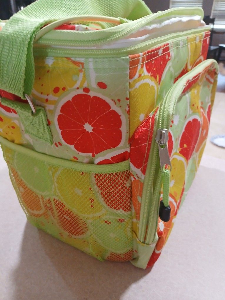 Insulated Cooler Bag Like New 