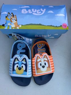 Bluey slides size 9