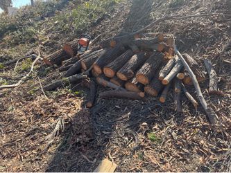 Free wood