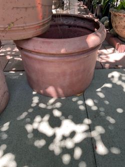 Big Planter