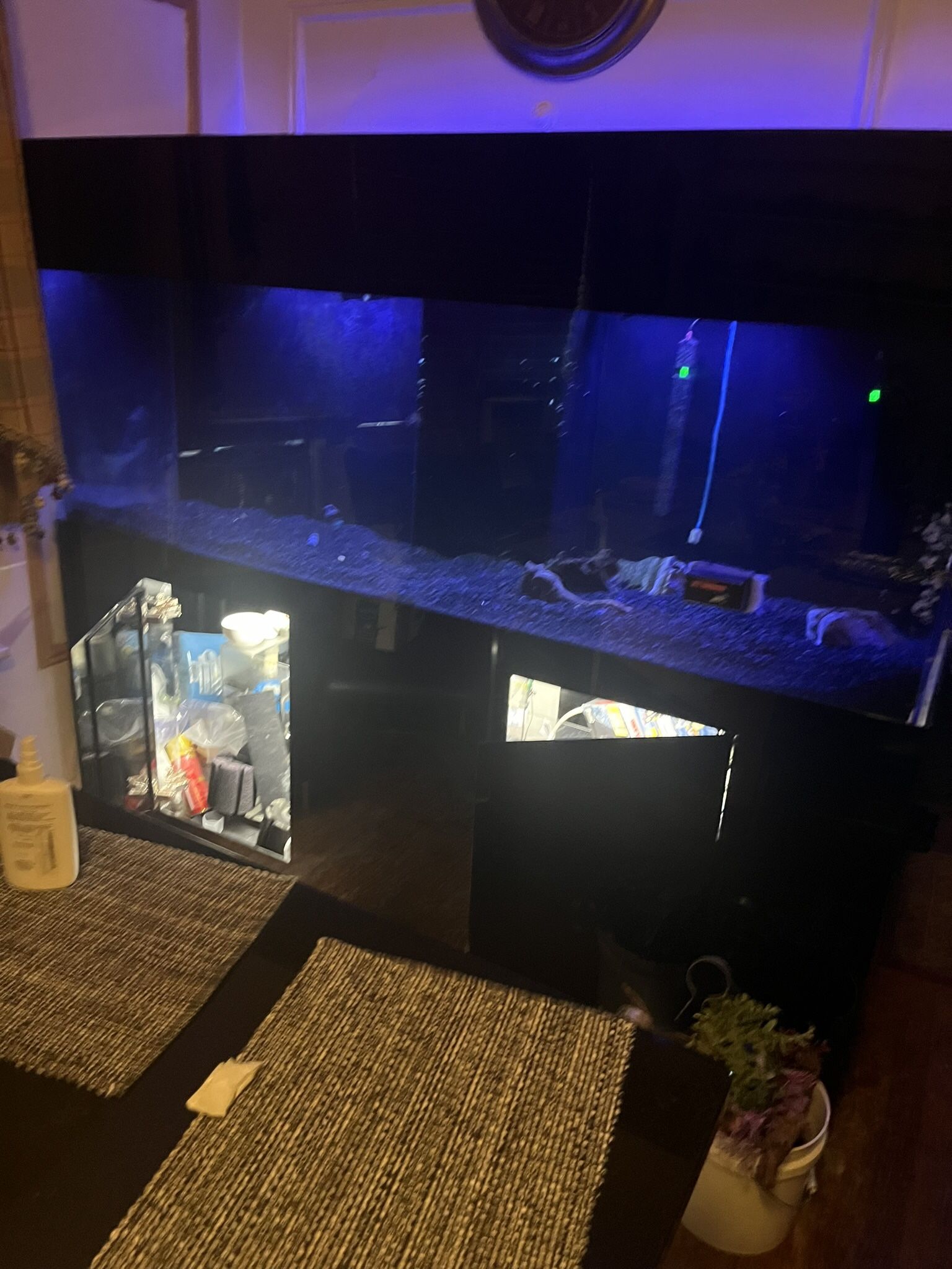 Acrylic Aquarium