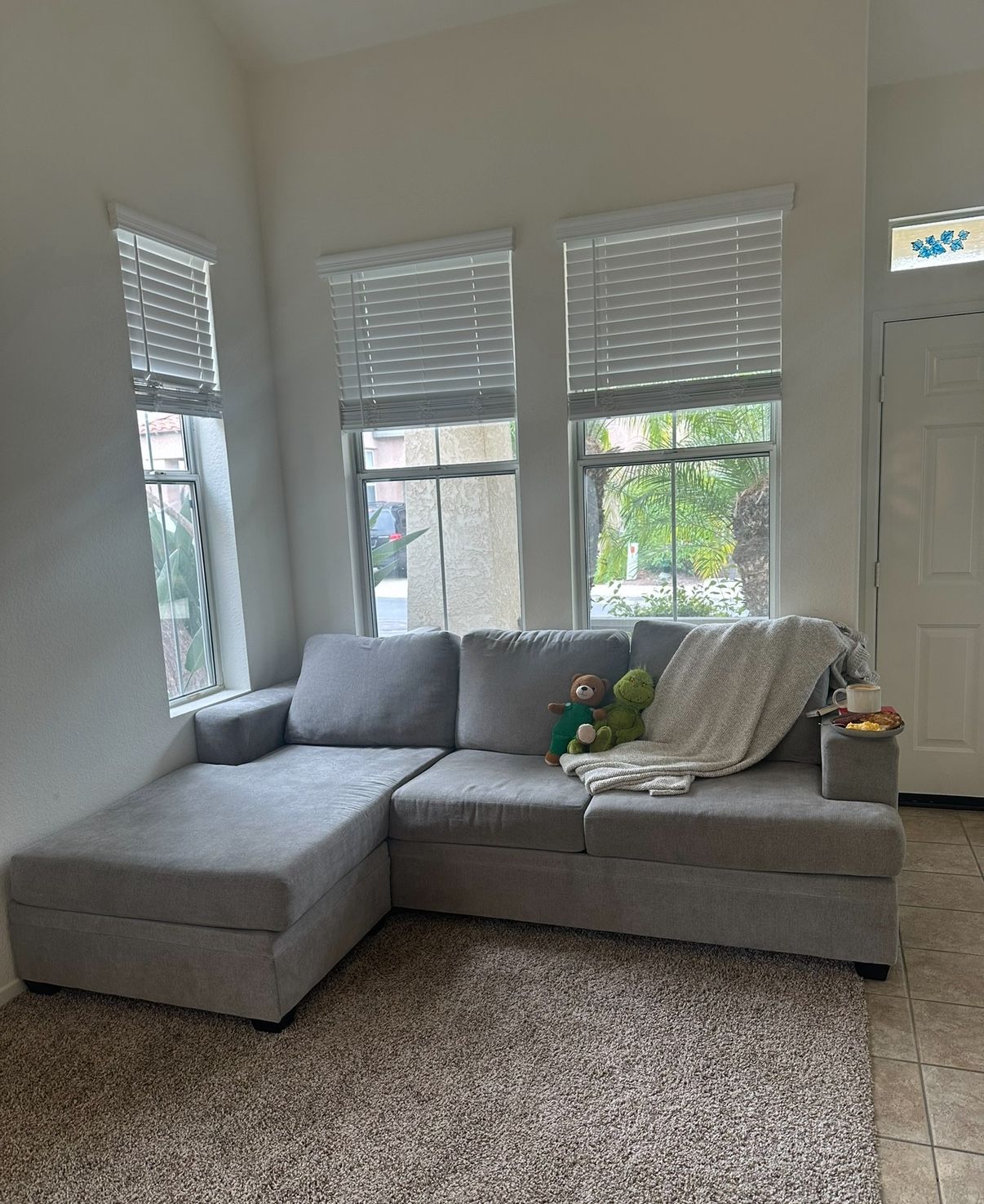 Grey Sectional Couch