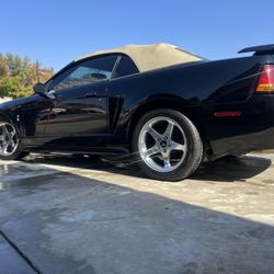 2001 Ford Mustang