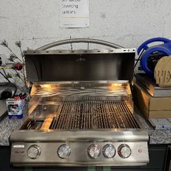 Blaze Barbecue Grill Premium Plus