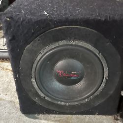 10” Subwoofer 