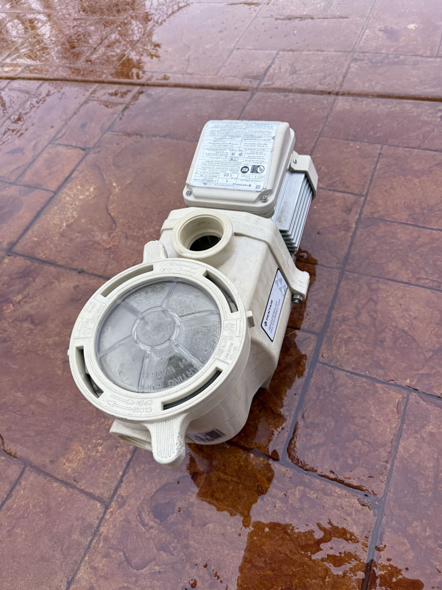 Pentair Whisperflo Pool Pump