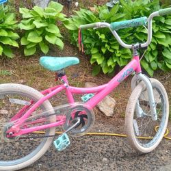 20 Inch Kids Bike Ready To Ride 