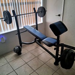 Work Out Bench W/ Weights