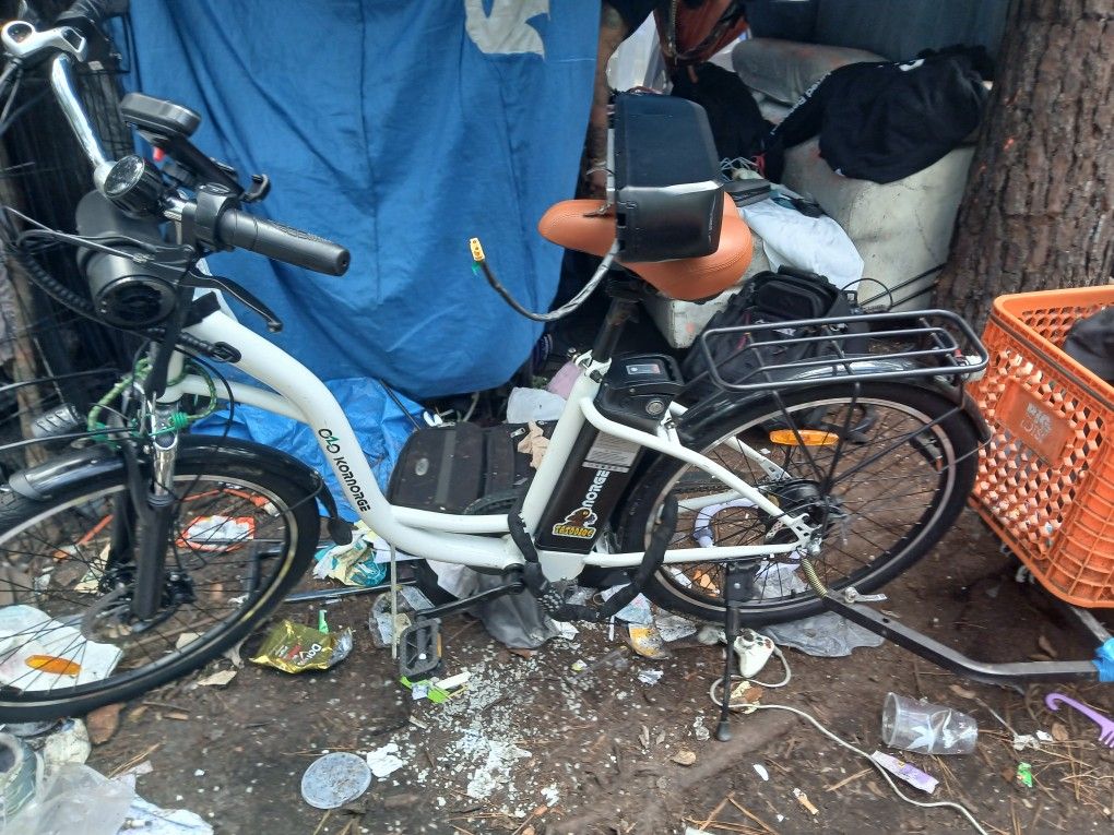 Ebike With Extra Battery 