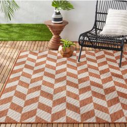 Indoor/0utdoor Rug 5x7 