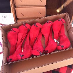 4-Boxes Of Red Cardinals 10- Pieces 
